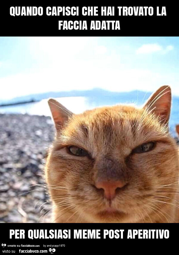 Quando capisci che hai trovato la faccia adatta per qualsiasi meme post aperitivo