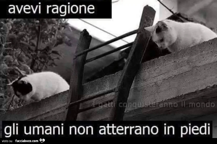 Atterraggi