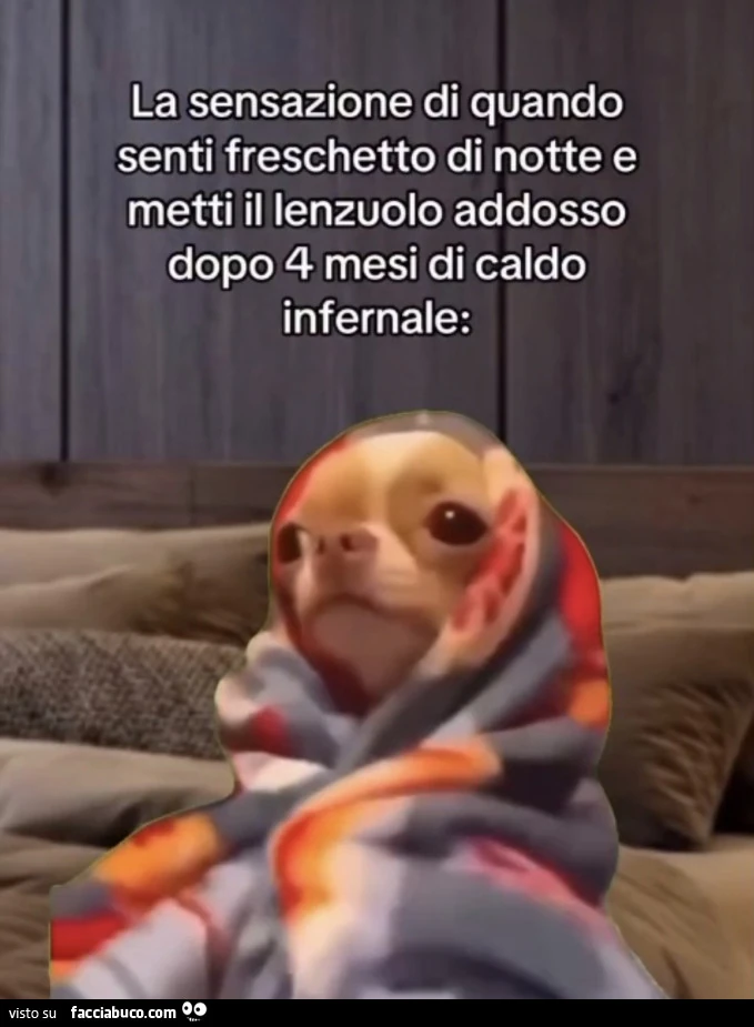 Vaccata