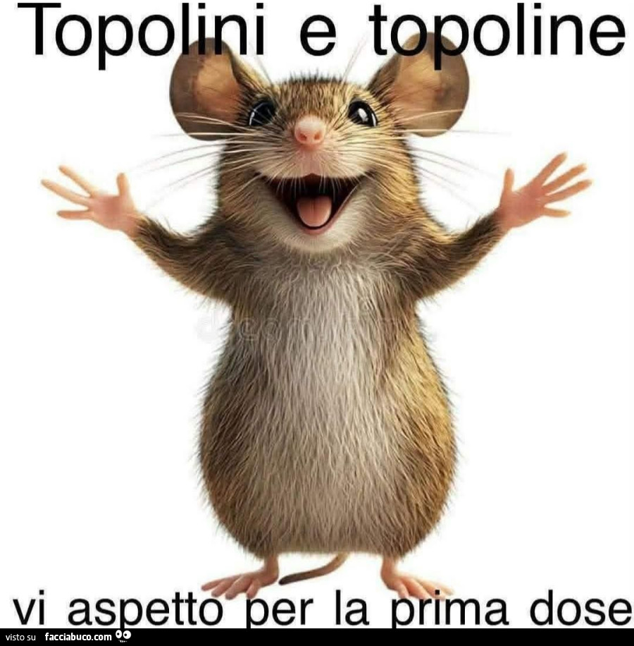 Vaccata