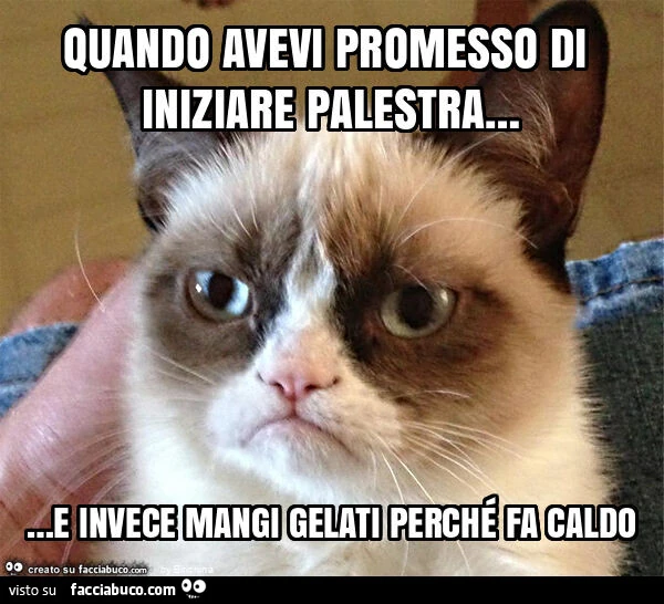 Quando avevi promesso di iniziare palestra… e invece mangi gelati perchรฉ fa caldo