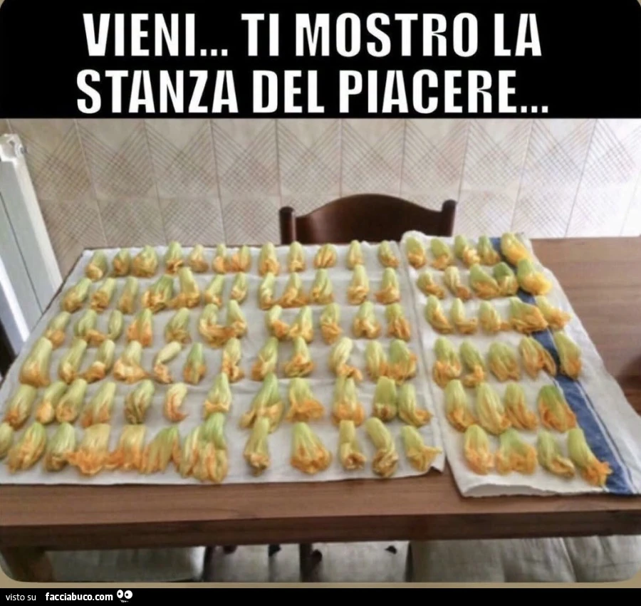 Vaccata