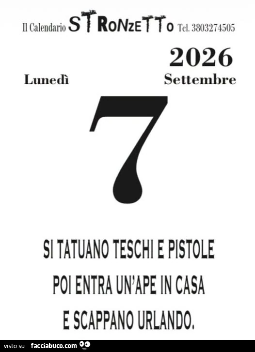 Si tatuano teschi e pistole poi entra un'ape in casa e scappano urlando