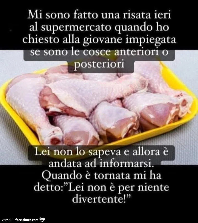 Pollo