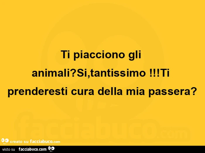 Ti piacciono gli animali? Si, tantissimo! Ti prenderesti cura della mia passera?