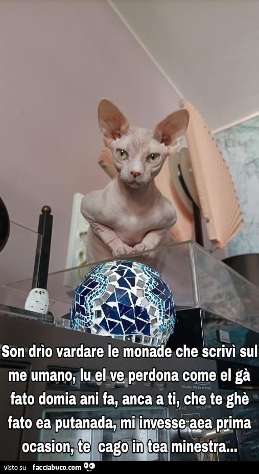 Barbyturiko