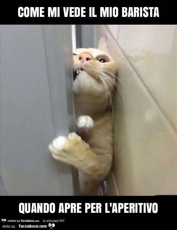 Come mi vede il mio barista quando apre per l'aperitivo