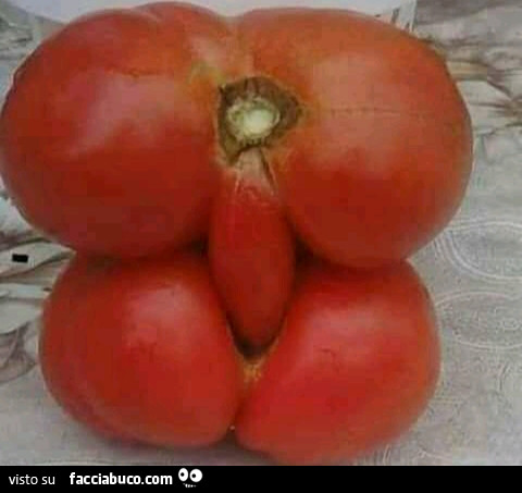 Pomodori osceni