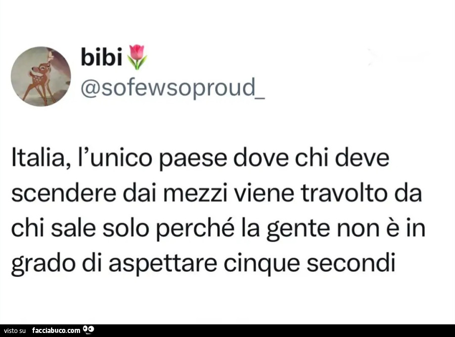 Italia, l'unico paese dove chi deve scendere dai mezzi viene travolto da chi sale solo perchรฉ la gente non รจ in grado di aspettare cinque secondi