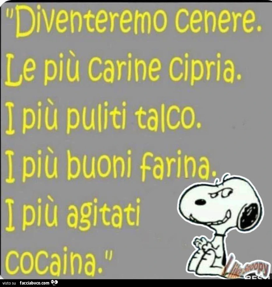 Vaccata