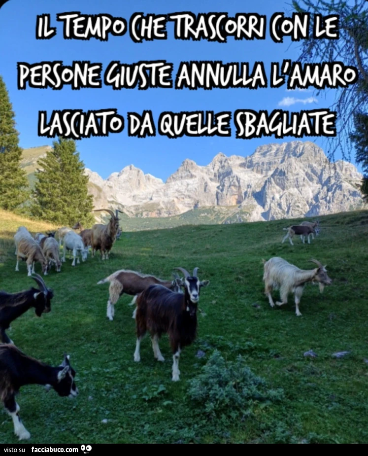 Il tempo che trascorri con le persone giuste annulla l'amaro lasciato da quelle sbagliate