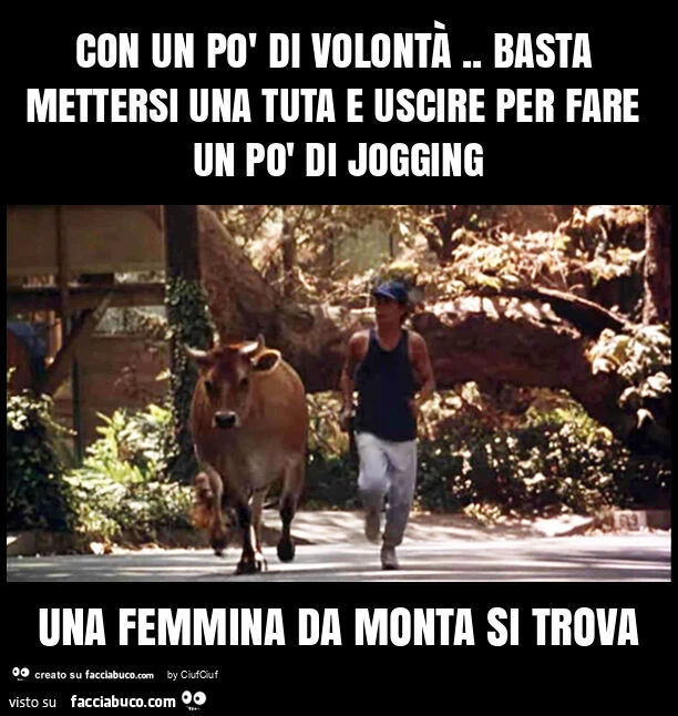 Con un po' di volontà. Basta mettersi una tuta e uscire per fare un po' di jogging una femmina da monta si trova