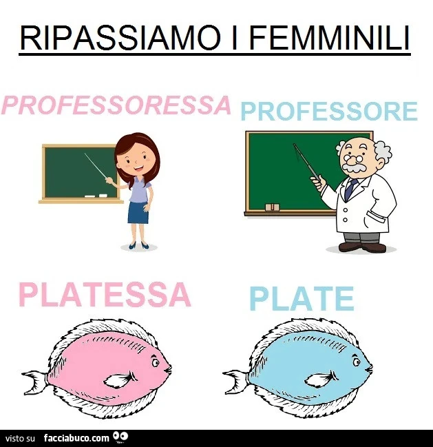 Ripassiamo i femminili. Professoressa professore. Platessa plate
