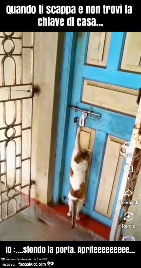 Quando ti scappa e non trovi la chiave di casa&hellip; io: &hellip; sfondo la porta. Apriteeeeeeeee