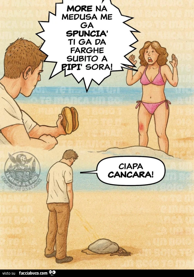 Vaccata