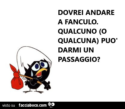 Dovrei andare a fanculo. Qualcuno o qualcuna può darmi un passaggio?