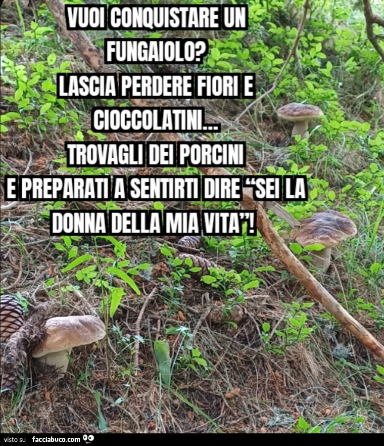 Vuoi conquistare un fungaiolo? Lascia perdere fiori e cioccolatini&hellip; trovagli dei porcini e preparati a sentirti dire sei la donna della mia vita