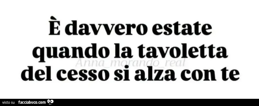 È davvero estate quando la tavoletta n an rea del cesso si alza con te