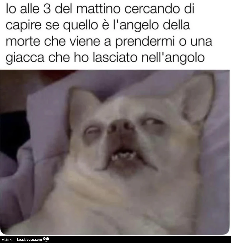 Vaccata