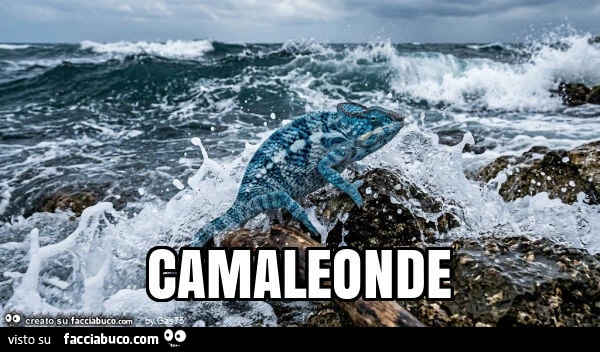 Camaleonde