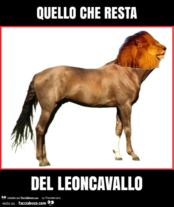 Quello che resta del leoncavallo