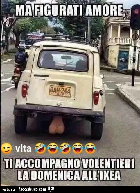 Vaccata