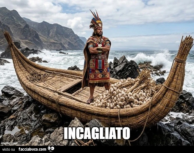Vaccata