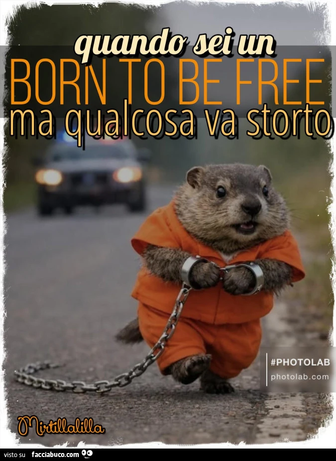 Born to be free