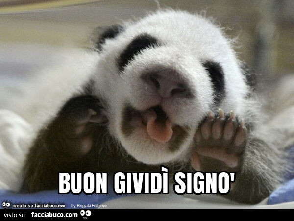 Buon gividì signò