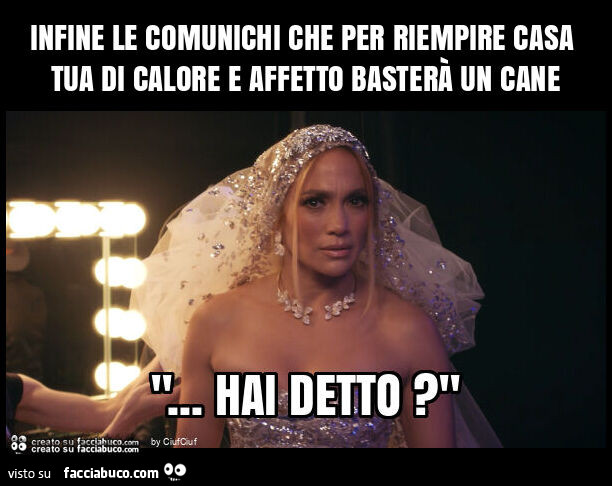 Infine le comunichi che per riempire casa tua di calore e affetto basterà un cane