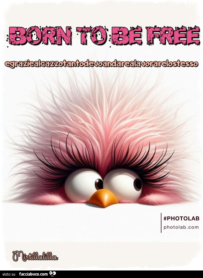 Born to be free