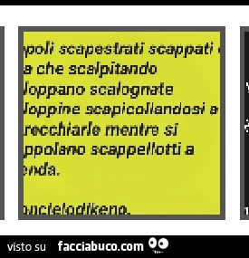 Vaccata