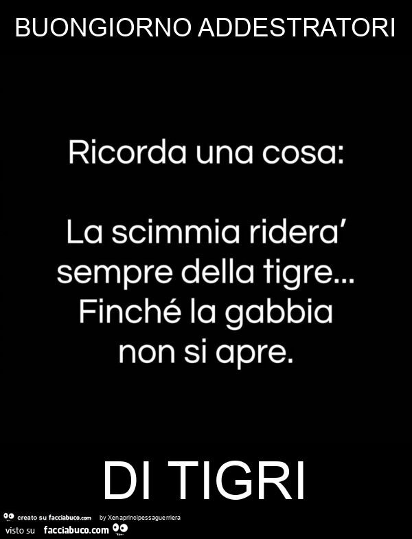 Buongiorno addestratori di tigri. Ricorda una cosa: la scimmia riderà sempre della tigre&hellip; finché la gabbia non si apre