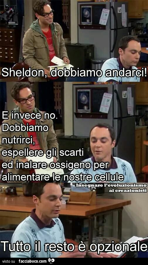 Tutto il resto è opzionale