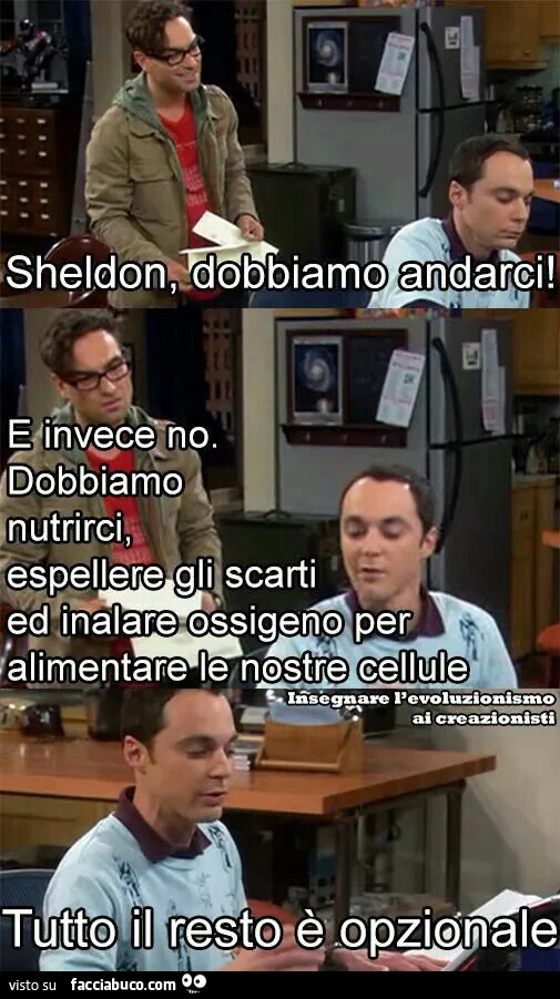Tutto il resto è opzionale