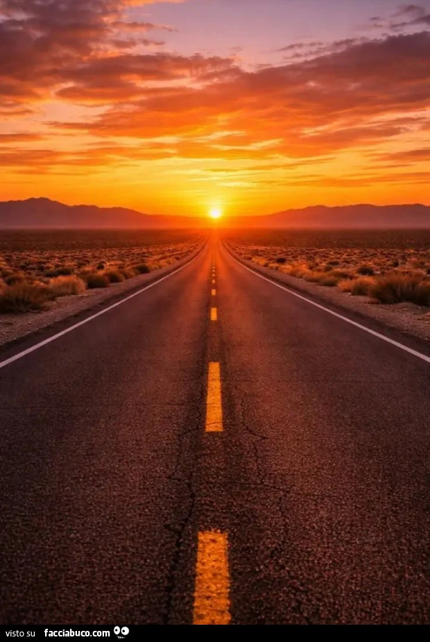 Strada lunga al tramonto