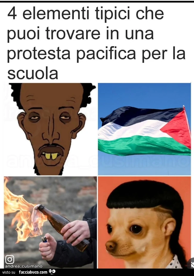 Vaccata