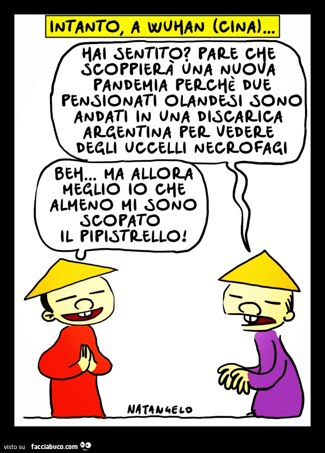 Vaccata