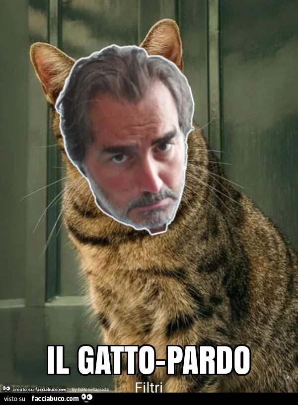 Il gatto-pardo