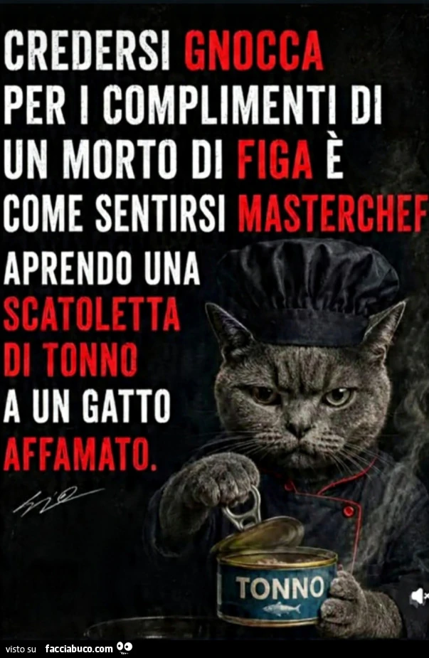 Gatto