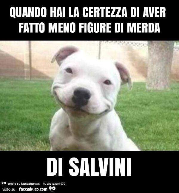 Quando hai la certezza di aver fatto meno figure di merda di salvini