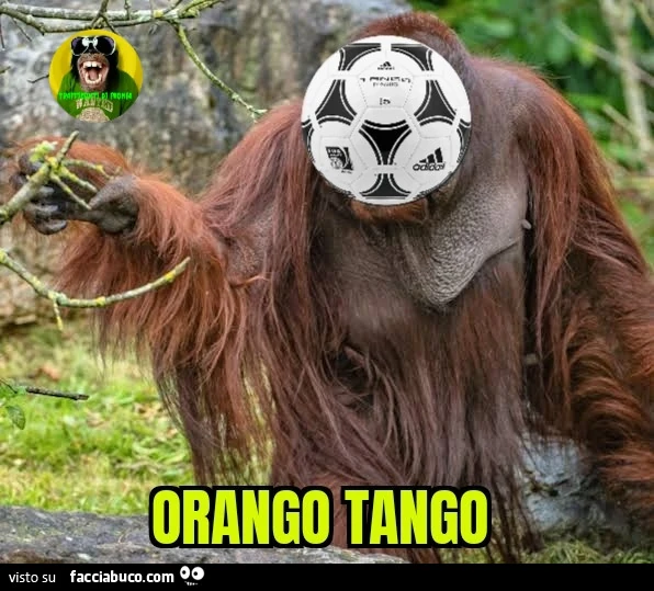 Orango tango