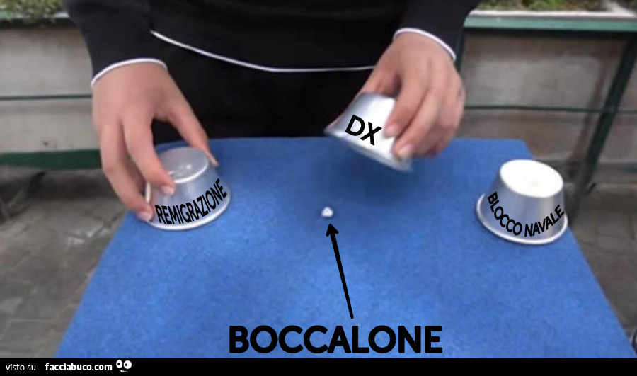 Vaccata