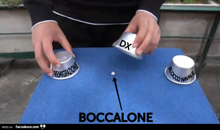 Vaccata