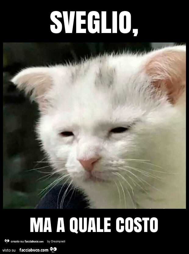 Sveglio, ma a quale costo