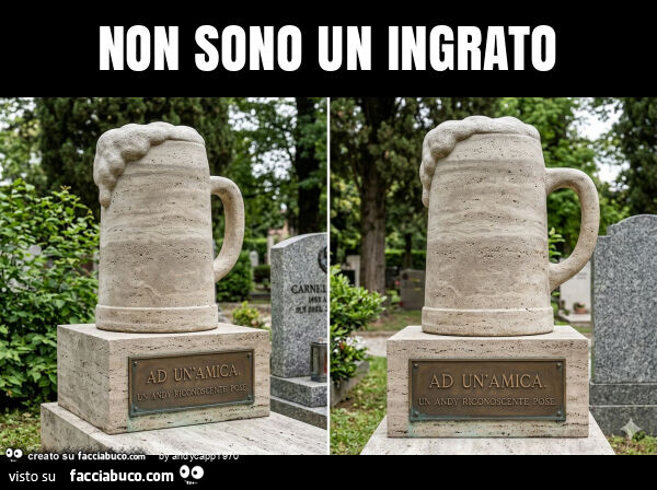 Non sono un ingrato