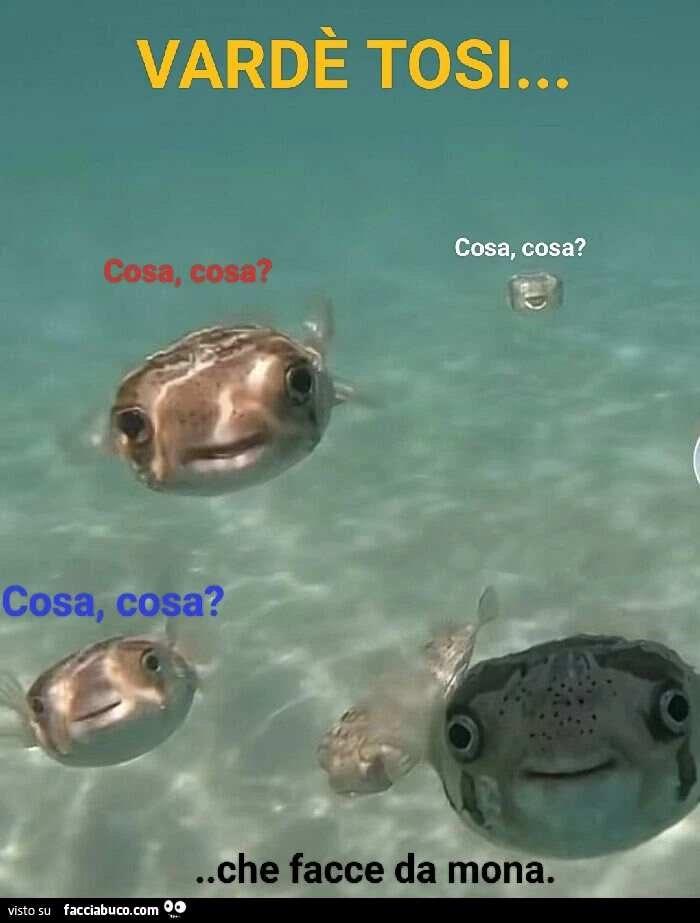Vaccata