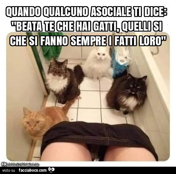 Quando qualcuno asociale ti dice: "beata te che hai gatti, quelli si che si fanno sempre i fatti loro"