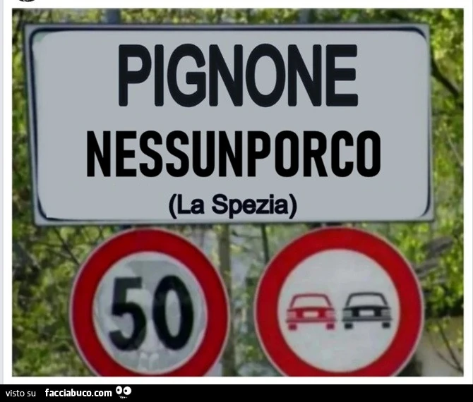 PIG NONE
