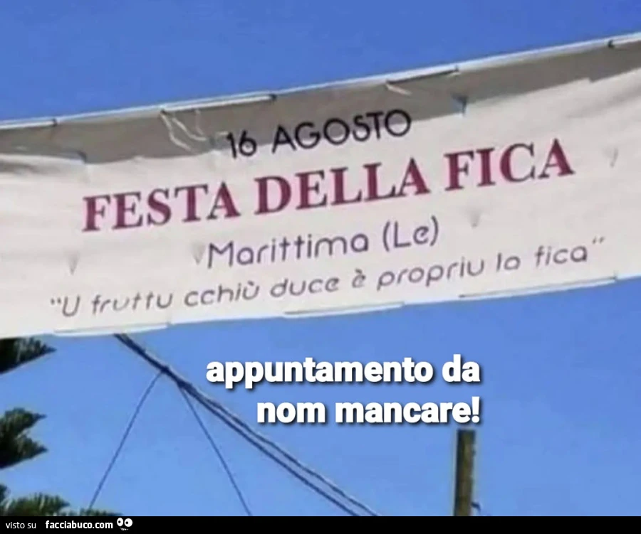 Festa